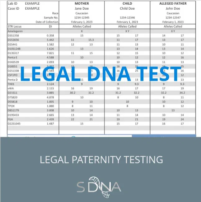 legal paternity testing
