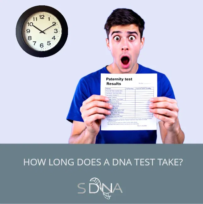 paternity test result times